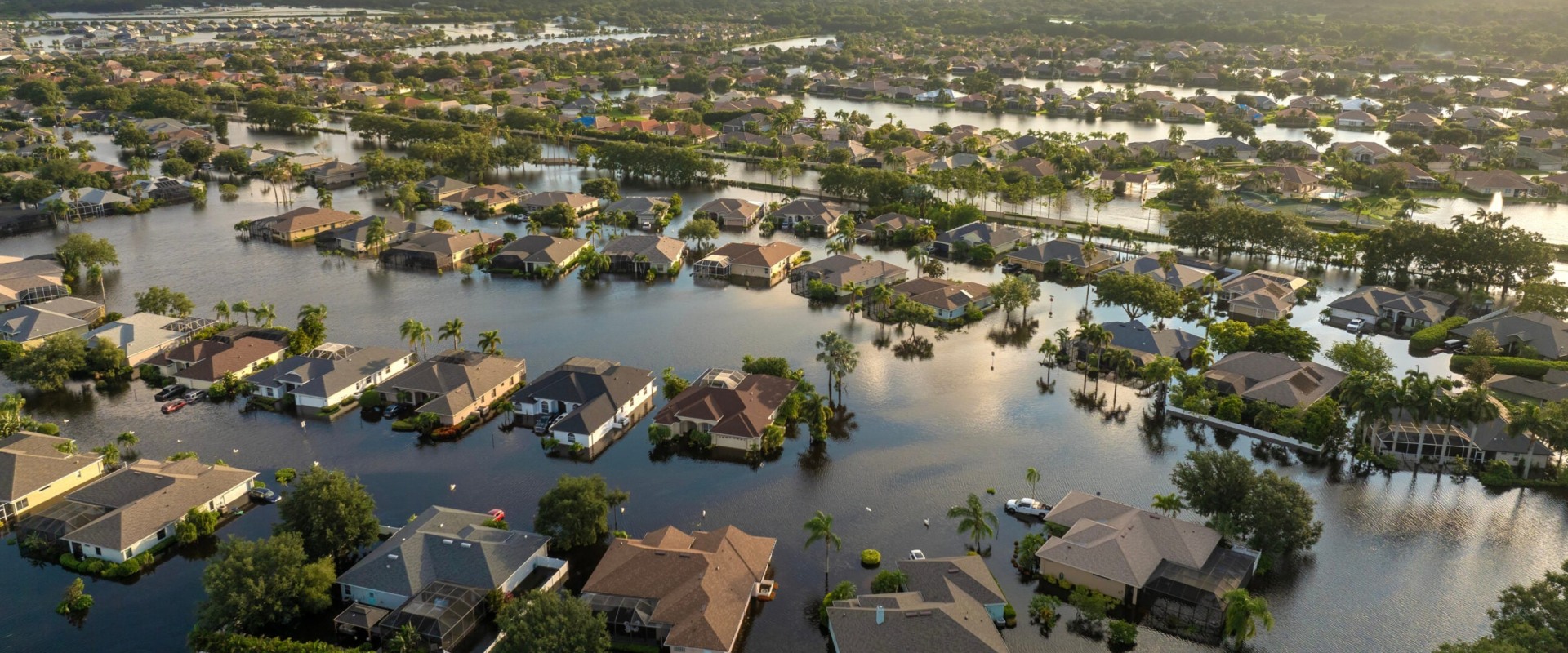 The Importance of Disaster Relief Charities in Northern Virginia