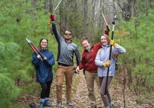 The Ultimate Guide to Supporting Charities in Northern Virginia