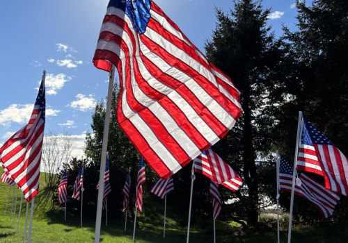 The Impact of Charities in Northern Virginia: How to Receive Assistance and Give Back