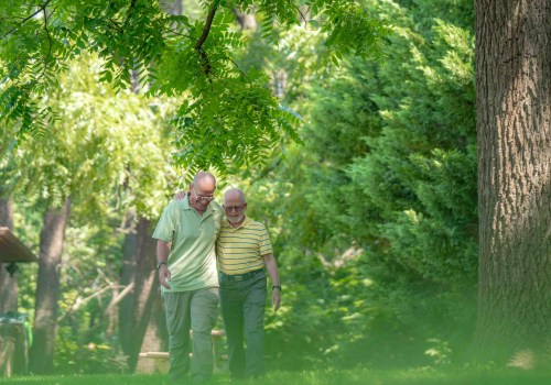 The Impact of Mental Health Charities in Northern Virginia